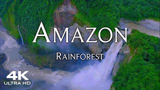 AMAZON Rainforest in 4K 🇧🇷 Worlds Largest Tropical Forest 🌴 Aerial Drone Amazonas [upl. by Licna]