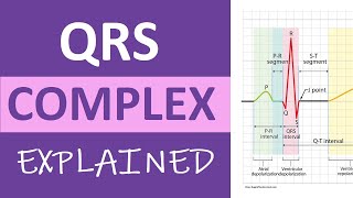 QRS Complex ECG Interpretation amp Measurement Explained  ECG Nursing ACLS NCLEX [upl. by Ylrevaw]