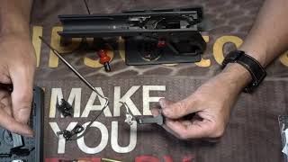 CZ Shadow 2 PO Ready  EEMANN TECH Upgrade kit and flat trigger installation [upl. by Atiner]