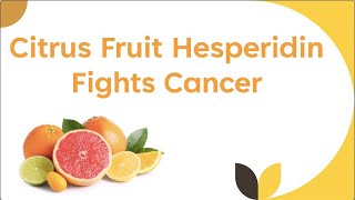 Citrus Fruit Hesperidin Fights Cancer [upl. by Leor]