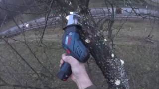 Cordless Saw Bosch GSA 108 VLI Professional vs Tree Branches [upl. by Namielus]