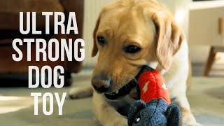 Now on Kickstarter Cheeky The Strongest And Safest Dog Toy [upl. by Beltran193]