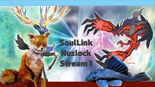 Pokemon SoulLink  Fish and Fox about to start a mistake [upl. by Aterg]