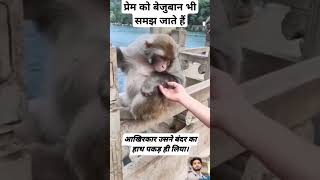 Jaanwar se behtar koi feeling nahi samjta😔😘 funnyvideo funny motivation viralshorts [upl. by Nwad767]