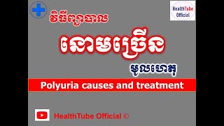 នោមច្រើន មូលហេតុនិងវិធីព្យាបាល l Polyuria causes and treatment l នោមច្រើន l HealthTube Official [upl. by Weber]