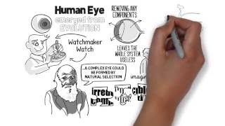 Irreducible Complexity  Evolution of the Eye Explained [upl. by Silera]