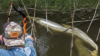 Bowfishing for Giant Gator Gar We shoot a 7 foot RIVER MONSTER [upl. by Nnyleitak]