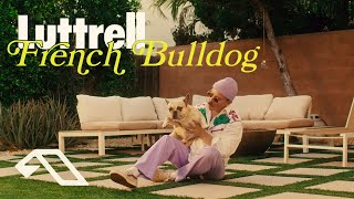 Luttrell  French Bulldog Official Music Video [upl. by Atirma]