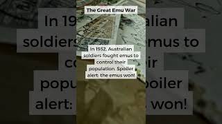 The Great Emu War [upl. by Lodi]