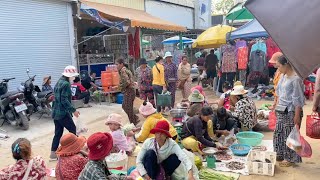 Popular Market In Cambodian  Fish Fruits Vegetables Meat Seafood [upl. by Nylehtak]