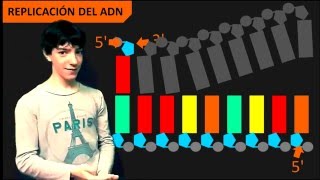 Replicación del ADN  Introducción [upl. by Munro]