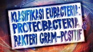 Klasifikasi Eubacteria  Proteobacteria amp Bakteri Gram Positif [upl. by Krysta]