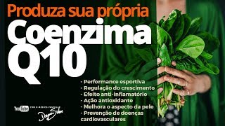 Produza sua Coenzima Q10  Dr Dayan Siebra [upl. by Vere582]