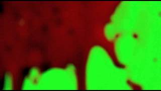 Blood Screen Splatter 2 on green screen 640x480MP4 [upl. by Essinger891]