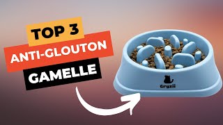 🔥 TOP 3  Meilleure Gamelle AntiGlouton Chien et Chat 2024 [upl. by Aleksandr]