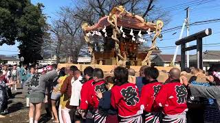 群馬県伊勢崎市波志江愛宕神社67年ぶりの神輿渡御2024113 [upl. by Fuhrman620]