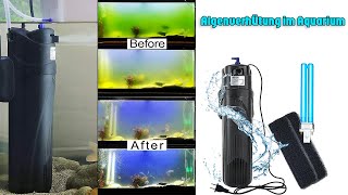 AquariumWasserfilter mit UVCLampe zur Algenbekämpfung und Keimabtötung [upl. by Anwad]