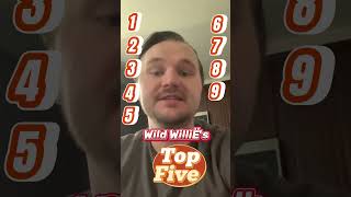 Wild Willies Top 5 Music Influences [upl. by Ardene418]