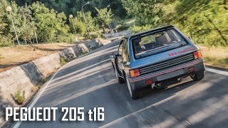 Peugeot 205 T16 [upl. by Gerrilee389]