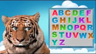 Tiger abc song [upl. by Aura448]