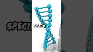 What is CRISPR Gene Editing Simplified crispr geneediting biotechnology [upl. by Ehcar]