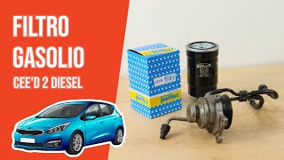 Cambio filtro gasolio Ceed 2 16 CRDI ⛽ [upl. by Yeldnarb]