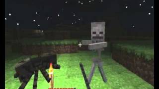 Minecraft Spider vs Skeleton [upl. by Biel]