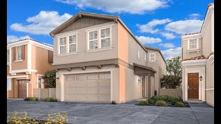 Olive 1 by Lennar Harvest at Limoneira in Santa Paula [upl. by Dlareg]