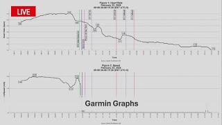 Prosecutors describe heart rate data from attack on Laken Riley [upl. by Pietra]