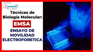 🟢 Aprenda EMSA Electrophoretic Mobility Shift Assay para encontrar Factores de transcripción 🧪🔬🤓 [upl. by Thorin]