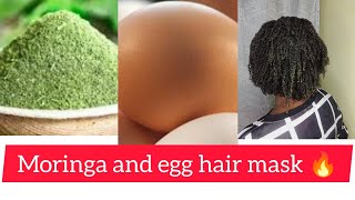 EGG AND MORINGA HAIR MASK UNSTOPPABLE HAIR GROWTHUSE IT ONCE A MONTH 🔥💯youtube haircare diy [upl. by Susi]