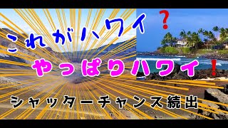 ハワイのマウイ島ラハイナ、ハレアカラ国立公園、パイアを巡る爽快ドライブ シャッターチャンス多数出現 マウイ島観光＃２ [upl. by Pfaff360]