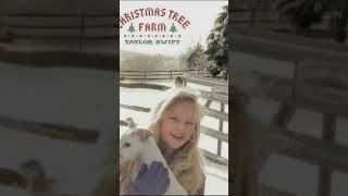 Christmas Tree Farm  Tay edits  taylorswift youtubeshorts [upl. by Ynttirb]