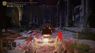 Elden Ring Convergence Mimic Tear Parry Only [upl. by Hodgkinson887]