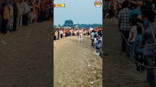 Ghoda aur ghodi ka race Khurda Mela Madhepura [upl. by Just]