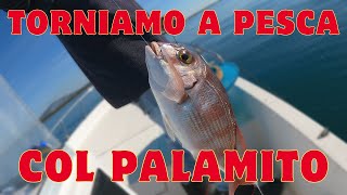 TORNIAMO a PESCA col PALAMITO [upl. by Daisy747]