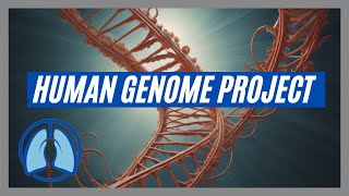 Human Genome Project Explained [upl. by Anatole]