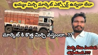 ఆర్డర్స్ ఎక్స్పోర్ట్స్ ఉన్నదా లేదా కొత్త మిర్చి వస్తుందా Mirchi market export information [upl. by Aicina]