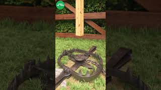 Grizzly Bear trap in action shorts trap bear [upl. by Kitti]