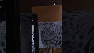 leopard drawing sketch sketches drawingguide art artwork beats typebeat [upl. by Viv]