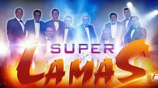 Los Super Lamas  Mix 2022  joyitas De Oró [upl. by Noreik300]