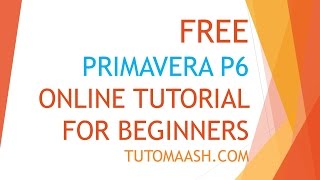 Free Oracle Primavera p6 Online Training Beginners kitBK series [upl. by Mide]