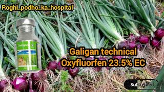 Adama galigan herbicide  Galigan use hindi Oxyfluorfen 235 EC galigan oxyfluorfen [upl. by Drawoh]