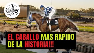 El Caballo mas rapido de la HISTORIA [upl. by Agni]