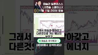 이승조 주식투자 테슬라 일론머스크 LG에너지솔루션 스페이스X [upl. by Meyers]