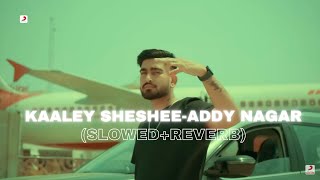 Kaley Sheshe – Addy Nagar SlowedReverb Bass Boosted Lofi Aaruh [upl. by Genia]