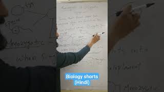 Monozygotic and Dizygotic Twins Hindi Genetics shorts biology shorts Life science shorts [upl. by Pennington]