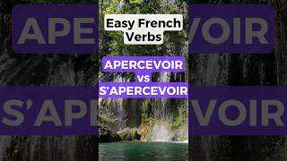 Apercevoir vs Sapercevoir  whats the difference shorts [upl. by Rumpf719]