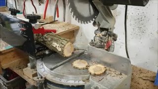 Cutting Log Cookies On a Miter Saw With The Little Ripper Works Great EthAnswers [upl. by Akinek438]