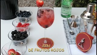 COCKTAIL GIN DE FRUTOS ROJOS [upl. by Chari]